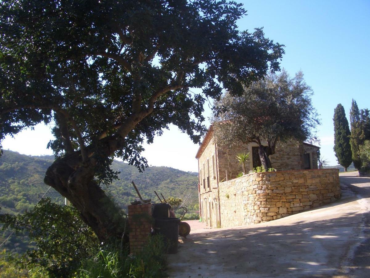 Micheletto Villa Perdifumo Eksteriør bilde